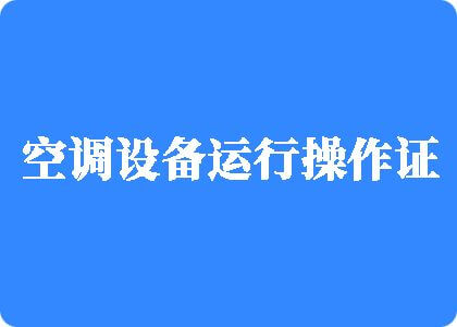 插逼内射视频制冷工证