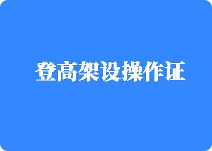 国外操逼逼逼逼逼逼大全登高架设操作证